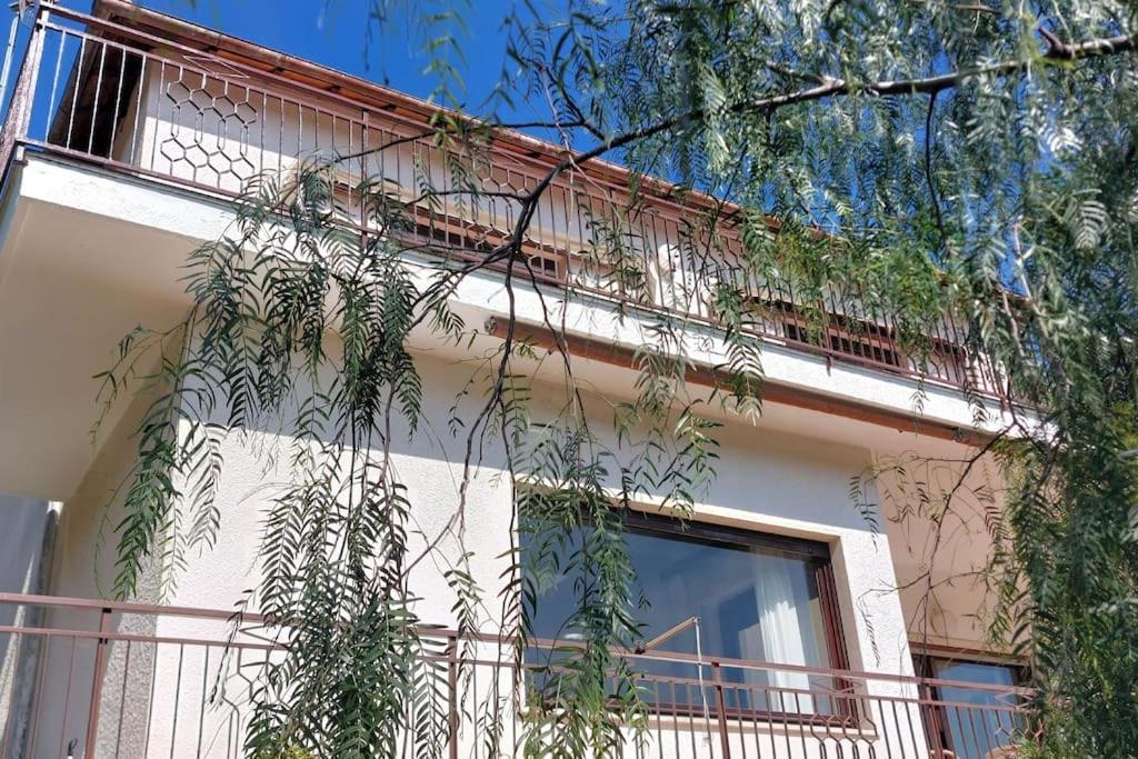 La Casa Di Nonna Lorenna Alassio Exteriér fotografie