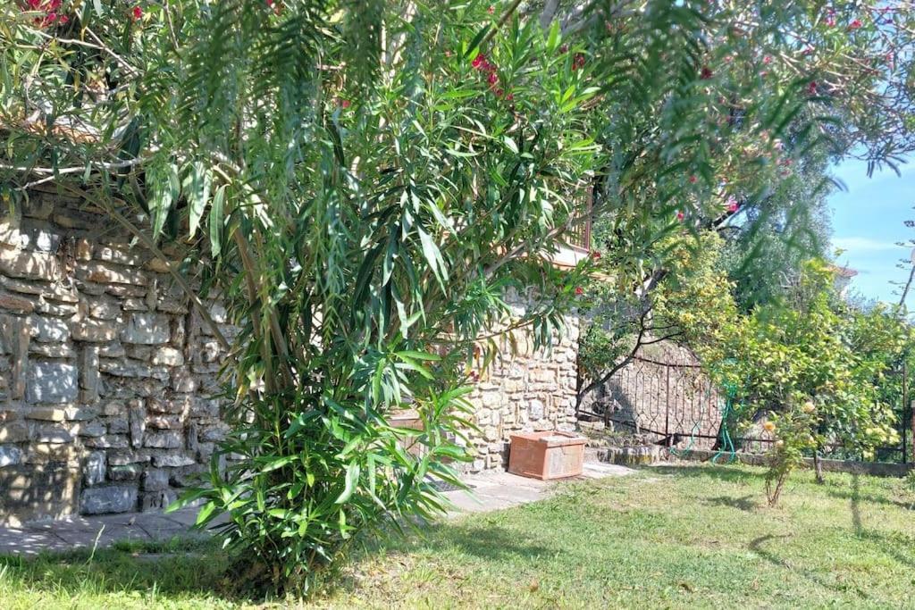 La Casa Di Nonna Lorenna Alassio Exteriér fotografie