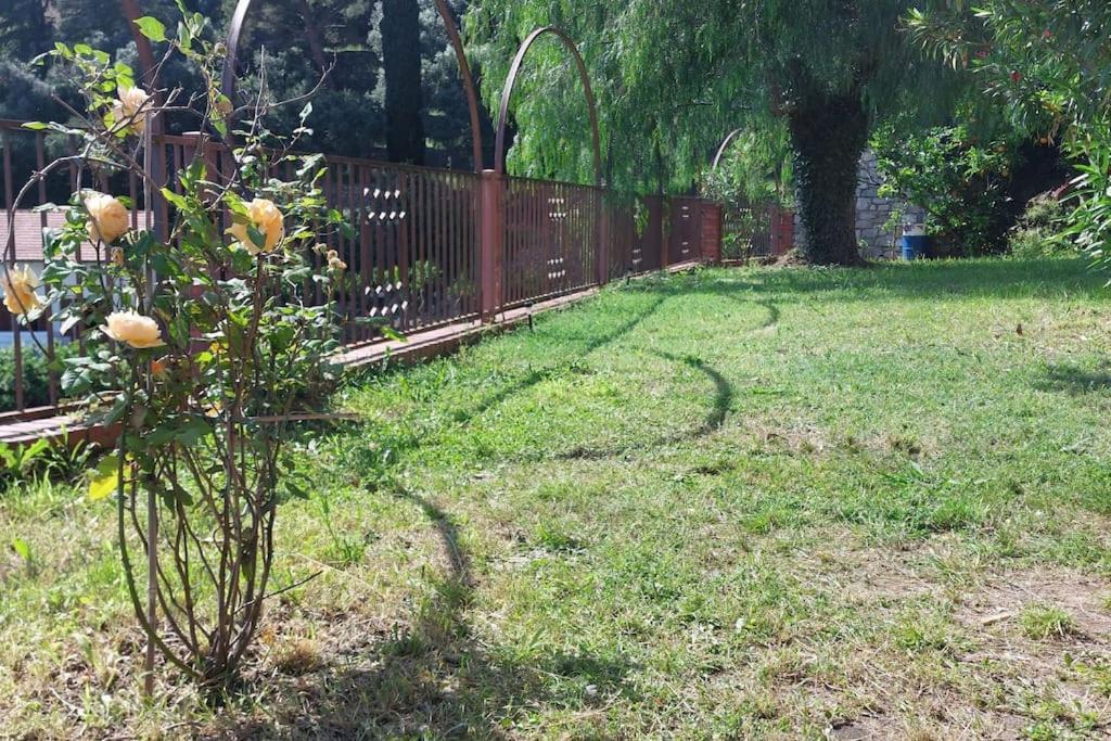 La Casa Di Nonna Lorenna Alassio Exteriér fotografie