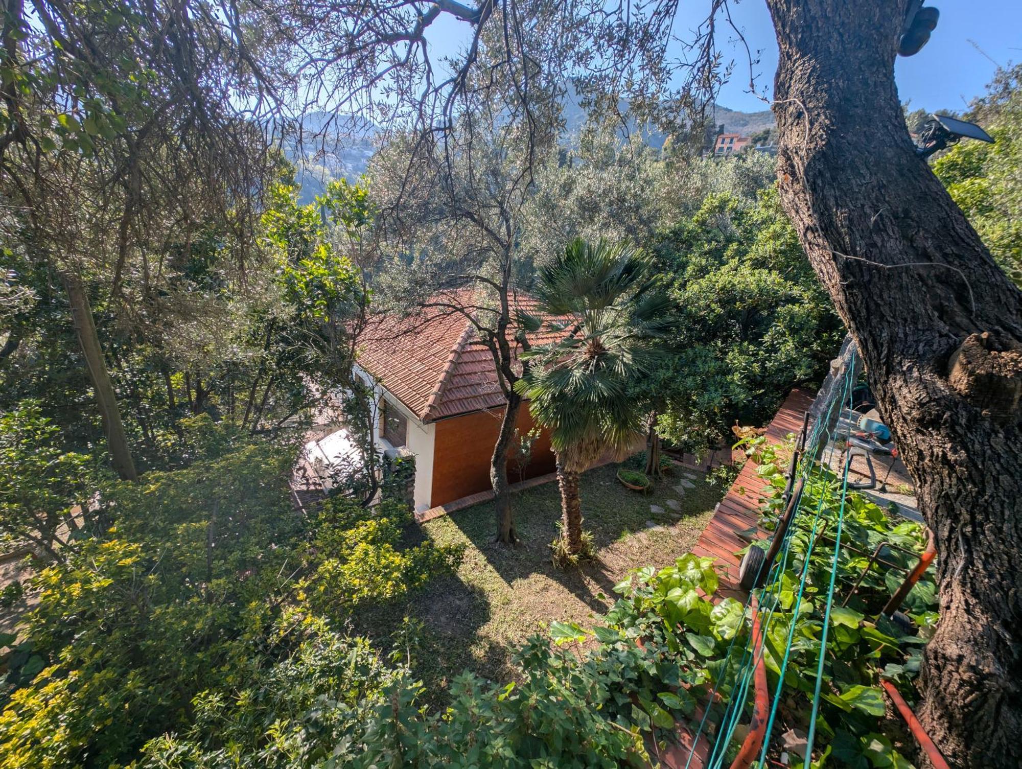 La Casa Di Nonna Lorenna Alassio Exteriér fotografie